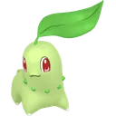 Chikorita