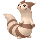 Furret