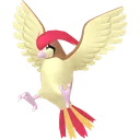 Pidgeotto