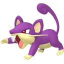 Rattata