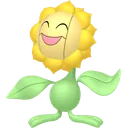 Sunflora