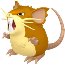 Raticate