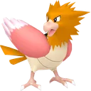 Spearow