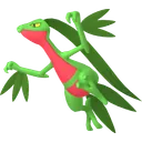 Grovyle
