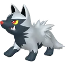 Poochyena