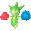 Roselia