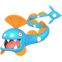 Huntail