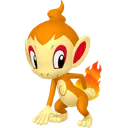 Chimchar