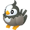 Starly