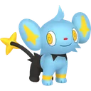 Shinx