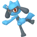 Riolu