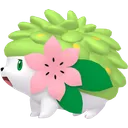 Shaymin
