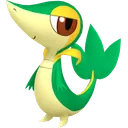 Snivy