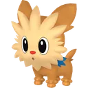 Lillipup