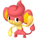 Pansear