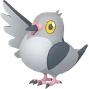 Pidove