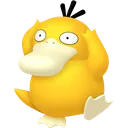Psyduck