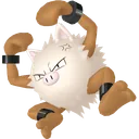 Primeape