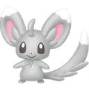 Minccino
