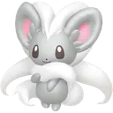 Cinccino
