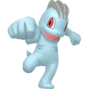 Machop