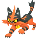 Torracat