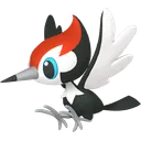 Pikipek
