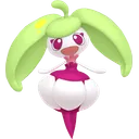 Steenee