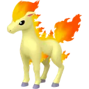 Ponyta