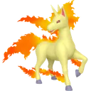 Rapidash