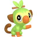 Grookey
