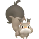 Skwovet