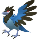 Corvisquire