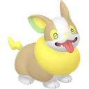 Yamper