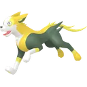 Boltund