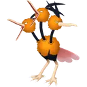 Dodrio