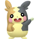 Morpeko