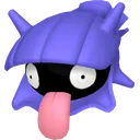 Shellder