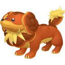 Dachsbun