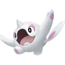 Cetoddle